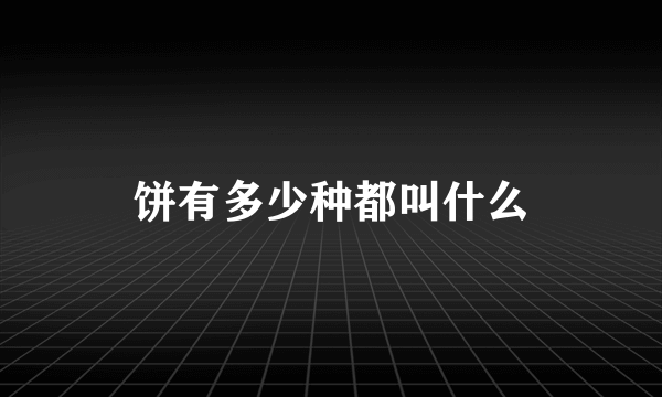 饼有多少种都叫什么