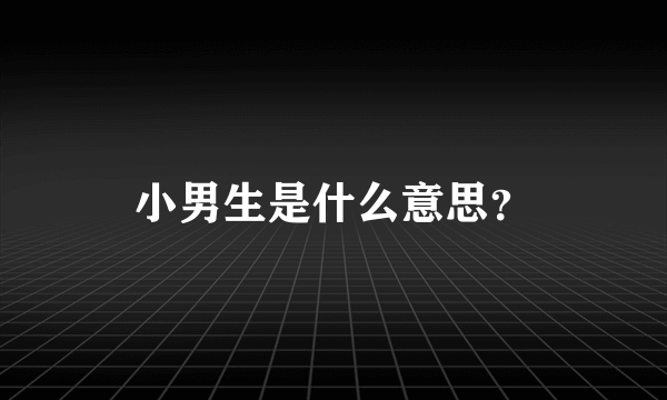 小男生是什么意思？