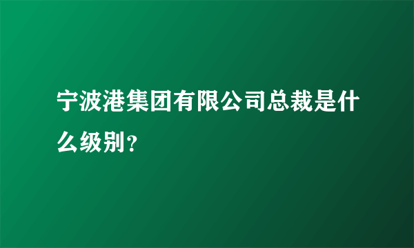 宁波港集团有限公司总裁是什么级别？