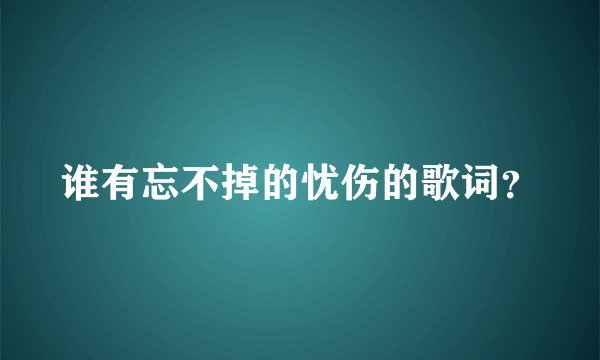 谁有忘不掉的忧伤的歌词？