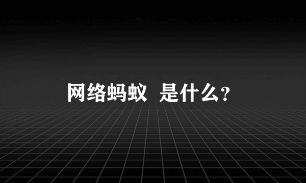 网络蚂蚁  是什么？