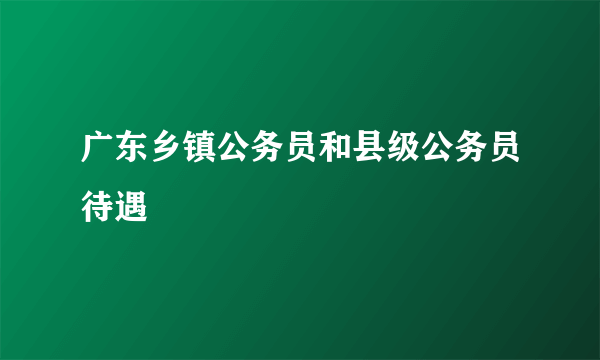 广东乡镇公务员和县级公务员待遇