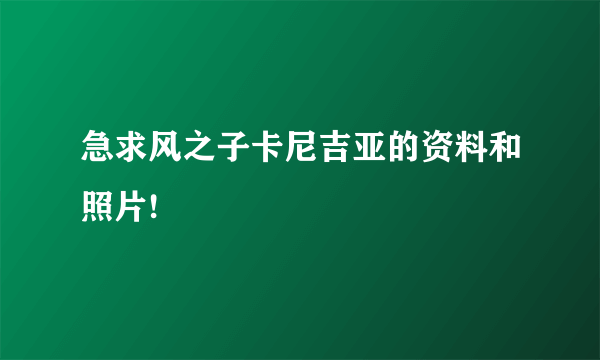 急求风之子卡尼吉亚的资料和照片!