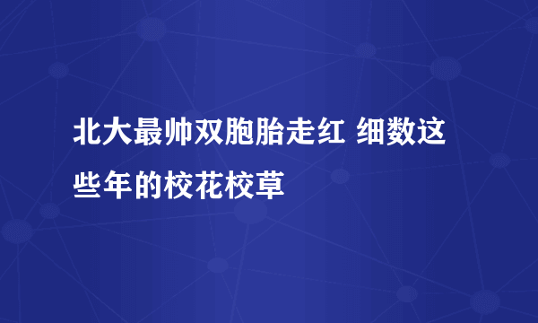 北大最帅双胞胎走红 细数这些年的校花校草