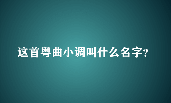 这首粤曲小调叫什么名字？