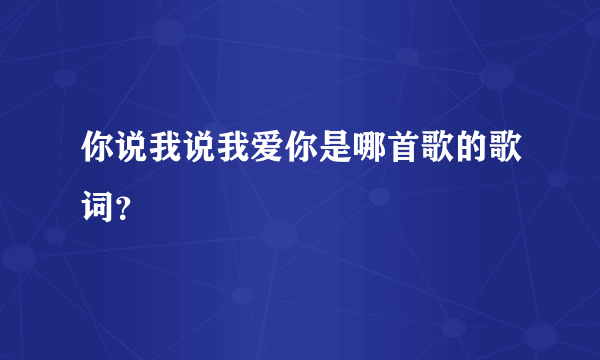 你说我说我爱你是哪首歌的歌词？