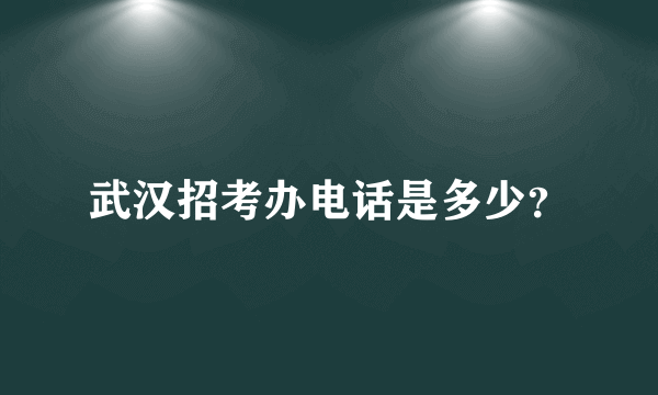 武汉招考办电话是多少？