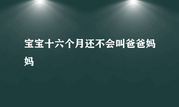 宝宝十六个月还不会叫爸爸妈妈