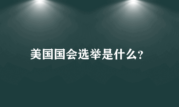 美国国会选举是什么？