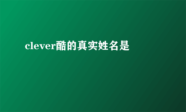 clever酷的真实姓名是