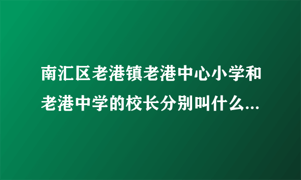 南汇区老港镇老港中心小学和老港中学的校长分别叫什么名字啊，告急啊