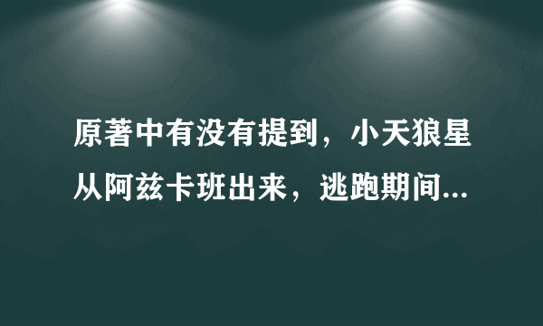 原著中有没有提到，小天狼星从阿兹卡班出来，逃跑期间有魔杖吗？