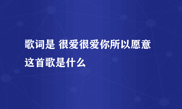 歌词是 很爱很爱你所以愿意 这首歌是什么