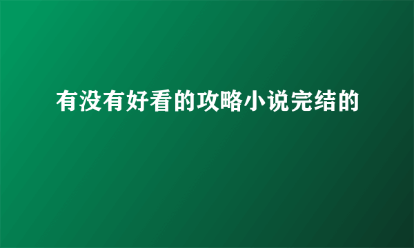 有没有好看的攻略小说完结的