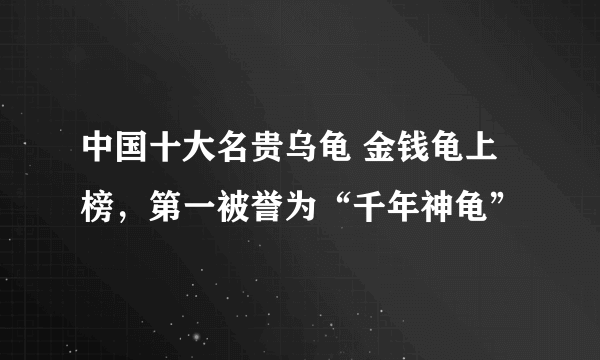 中国十大名贵乌龟 金钱龟上榜，第一被誉为“千年神龟”