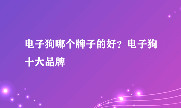 电子狗哪个牌子的好？电子狗十大品牌