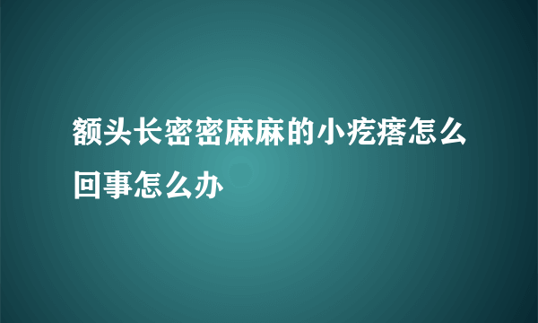 额头长密密麻麻的小疙瘩怎么回事怎么办