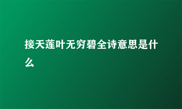 接天莲叶无穷碧全诗意思是什么