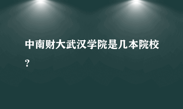 中南财大武汉学院是几本院校？