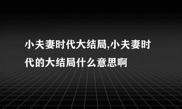 小夫妻时代大结局,小夫妻时代的大结局什么意思啊