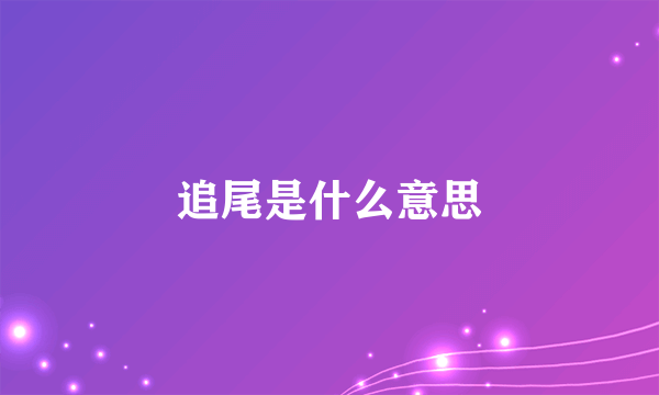 追尾是什么意思