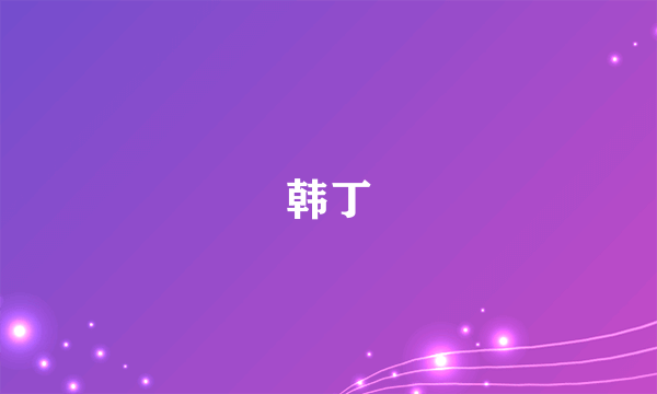 韩丁