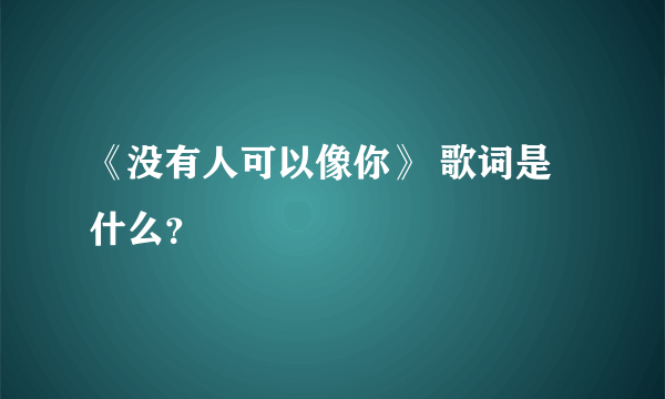 《没有人可以像你》 歌词是什么？