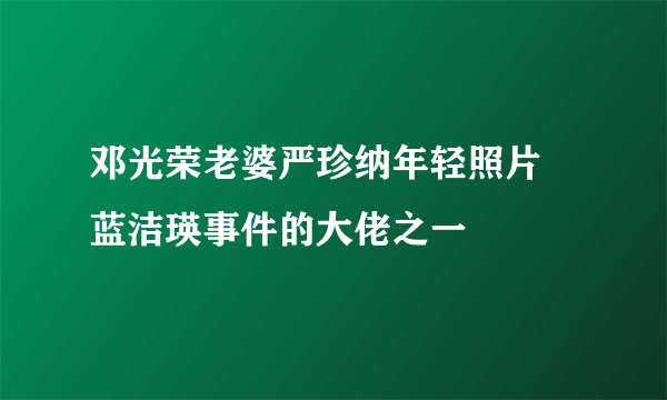 邓光荣老婆严珍纳年轻照片 蓝洁瑛事件的大佬之一