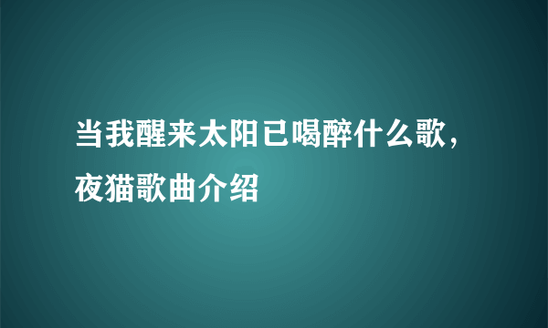 当我醒来太阳已喝醉什么歌，夜猫歌曲介绍