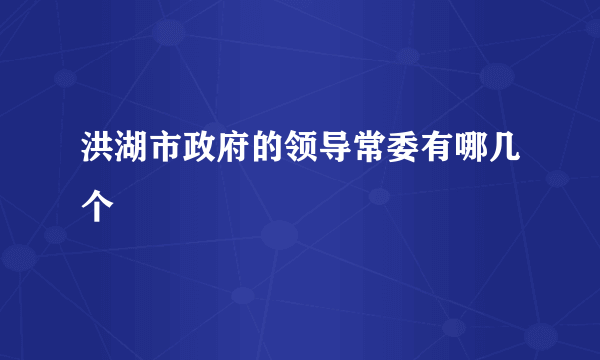 洪湖市政府的领导常委有哪几个