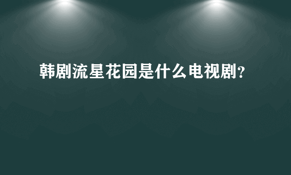 韩剧流星花园是什么电视剧？