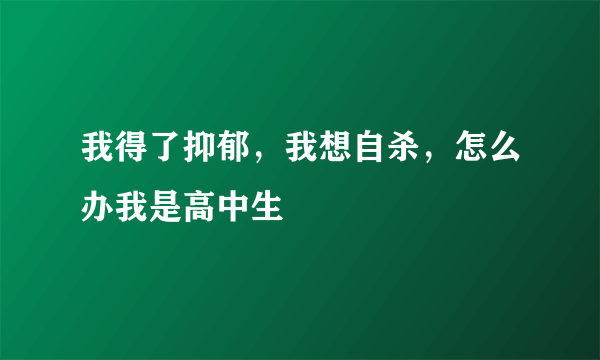 我得了抑郁，我想自杀，怎么办我是高中生