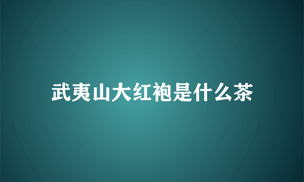 武夷山大红袍是什么茶