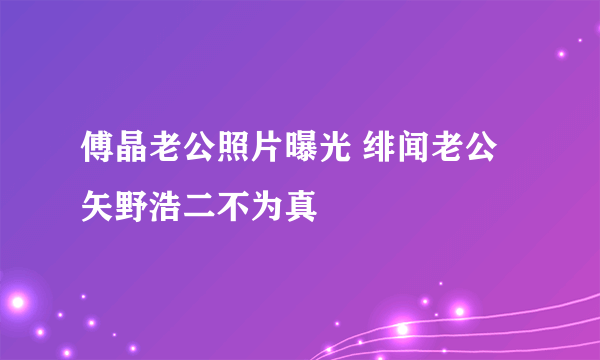 傅晶老公照片曝光 绯闻老公矢野浩二不为真