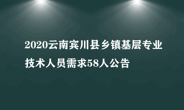 2020云南宾川县乡镇基层专业技术人员需求58人公告