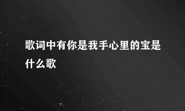 歌词中有你是我手心里的宝是什么歌