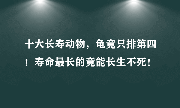 十大长寿动物，龟竟只排第四！寿命最长的竟能长生不死！