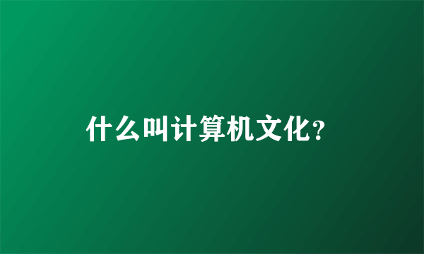 什么叫计算机文化？