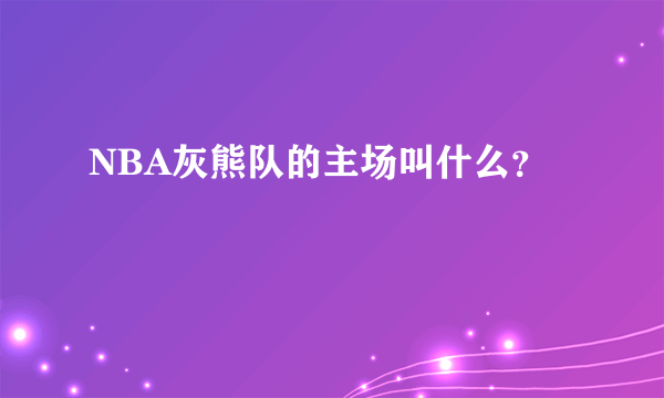 NBA灰熊队的主场叫什么？