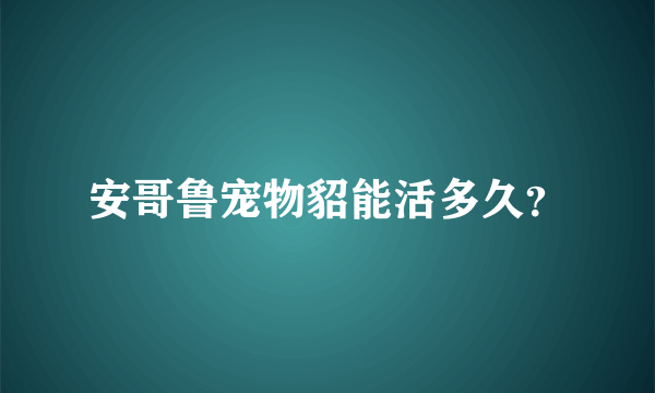 安哥鲁宠物貂能活多久？