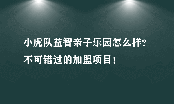 小虎队益智亲子乐园怎么样？不可错过的加盟项目！