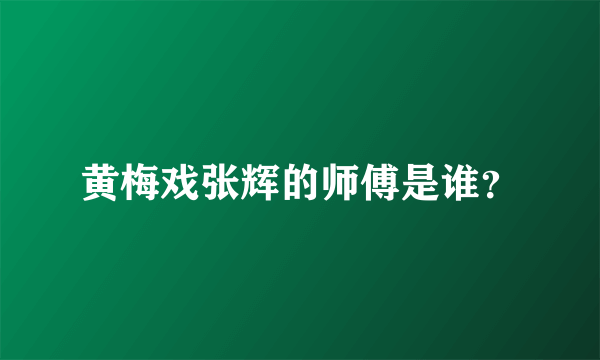 黄梅戏张辉的师傅是谁？