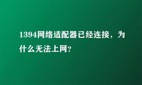 1394网络适配器已经连接，为什么无法上网？