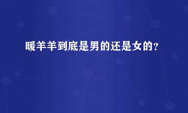 暖羊羊到底是男的还是女的？