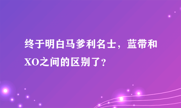 终于明白马爹利名士，蓝带和XO之间的区别了？