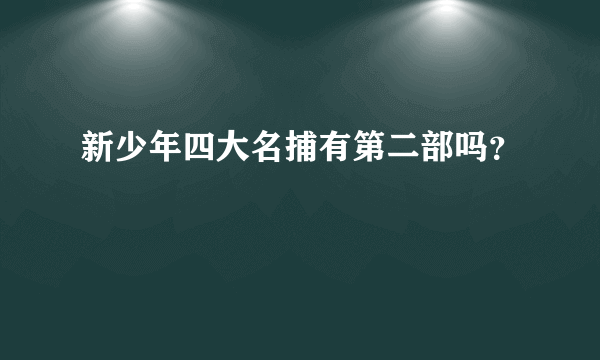 新少年四大名捕有第二部吗？