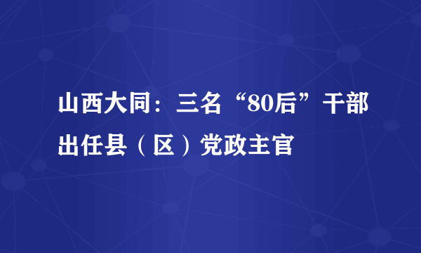 山西大同：三名“80后”干部出任县（区）党政主官