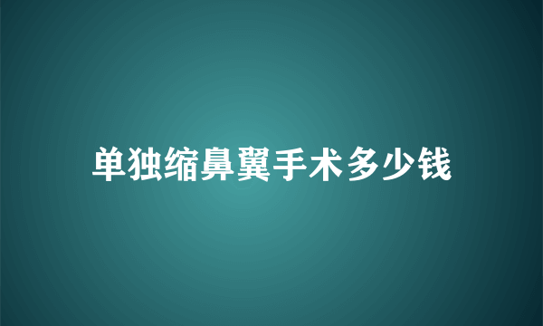 单独缩鼻翼手术多少钱