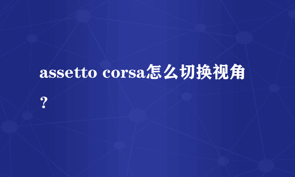 assetto corsa怎么切换视角？