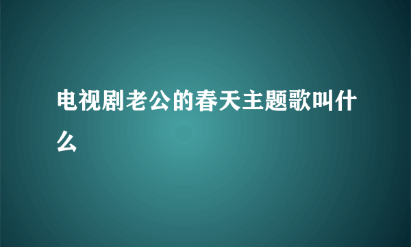 电视剧老公的春天主题歌叫什么